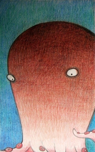 极简动物园——白关（转2）-2ViZD-图片