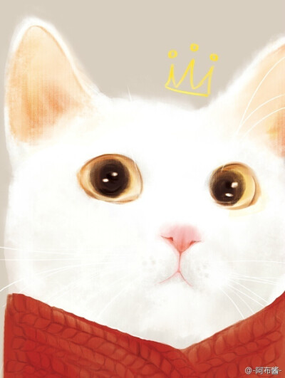 -阿布酱-的微博_微博-TlhYz-图片