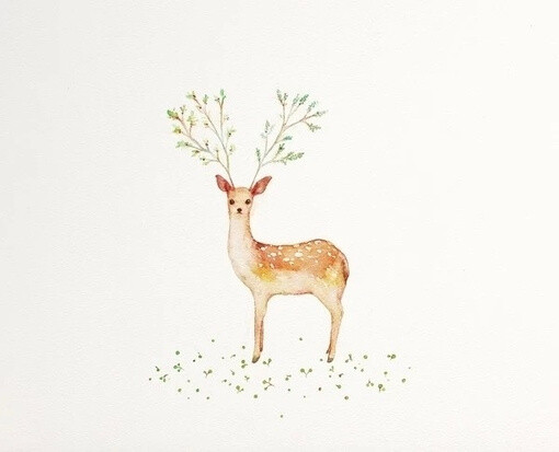 图片、猫头鹰、鹿、狼、麋鹿-GVmOD-图片