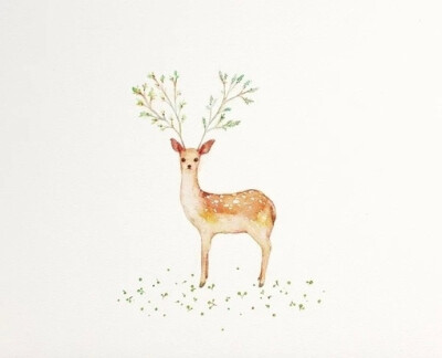 图片、猫头鹰、鹿、狼、麋鹿-GVmOD-图片