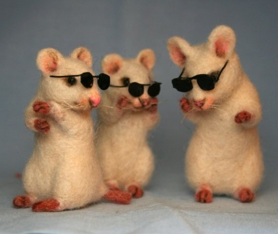 3 blind mice! http://img3.etsystatic.com/000/0/5456483/il_570xN.81173395.jpg-jVmMT-图片