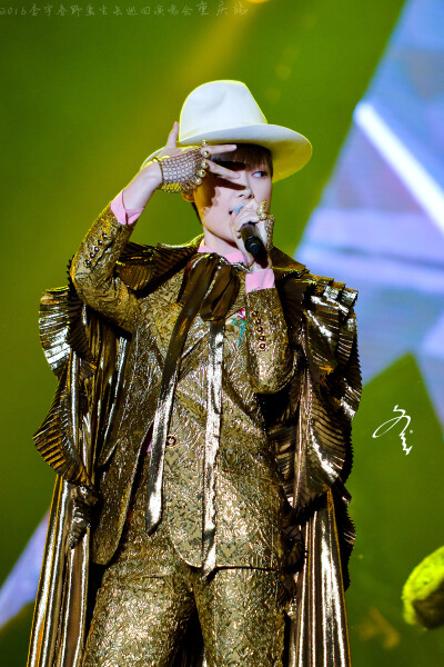 李宇春2016野蛮生长巡回演唱会重庆站