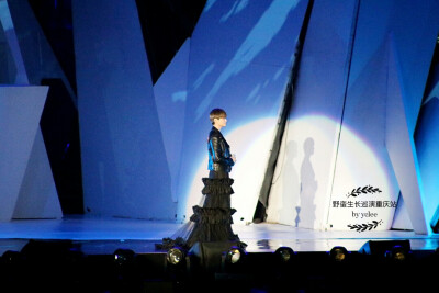 李宇春2016野蛮生长巡回演唱会重庆站