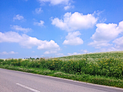 昨日的斑斓花田还让人回味，今日的乡野田园之景却瞬间让我振奋不已。耳机里放着久石让的音乐，感受着划过耳边的风，上坡的疲惫和阳光的炙热都无法削减我渴望自然的热情。