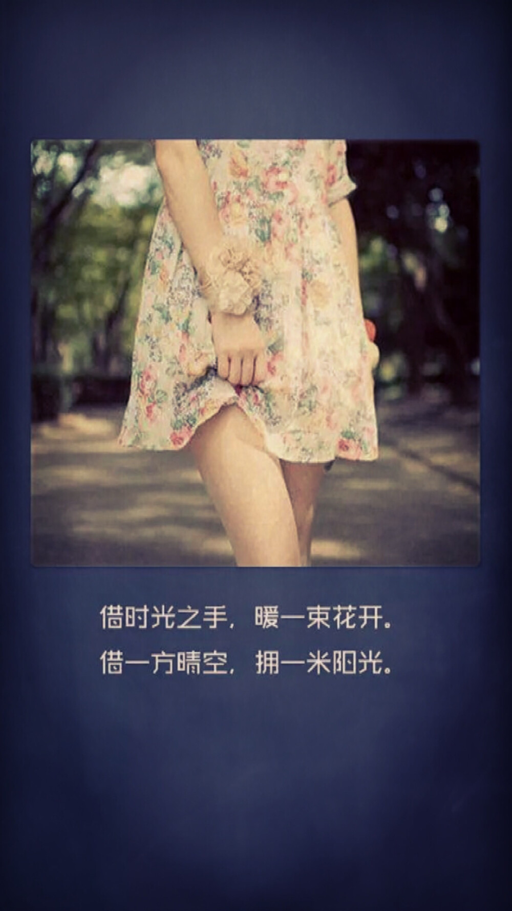 文字壁纸 借时光之手暖一束花开
