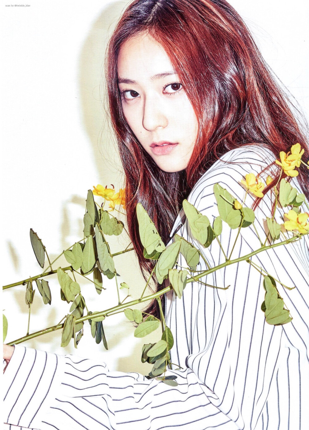 fx郑秀晶秀晶krystal