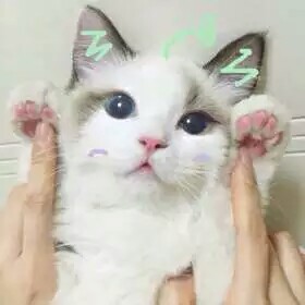 宝宝们点个赞叭
我的超能力还有好多 不只超可爱