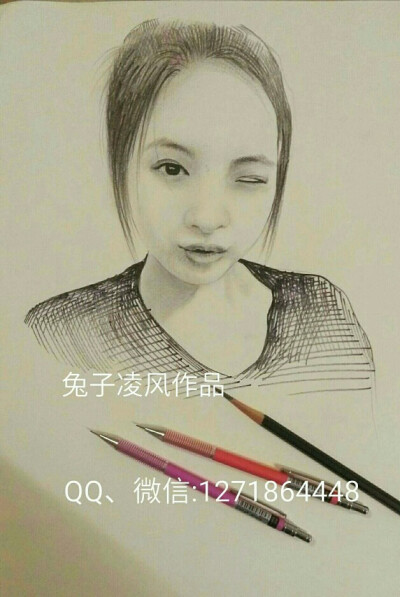 兔子凌风素描作品