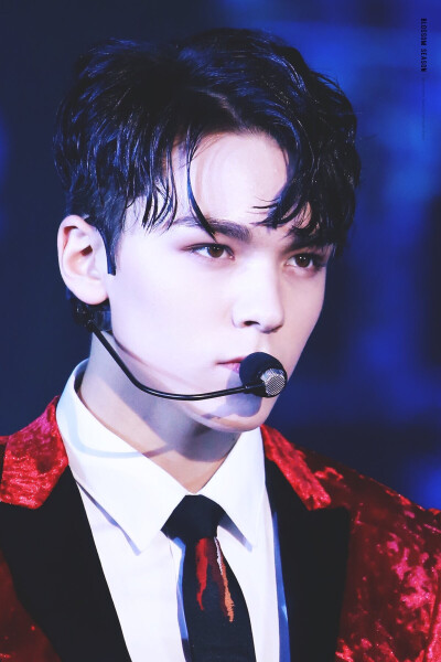 Seventeen 崔韩率Vernon