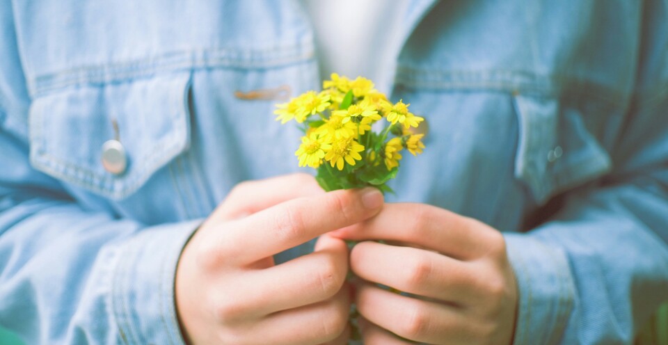 故事的小黄花