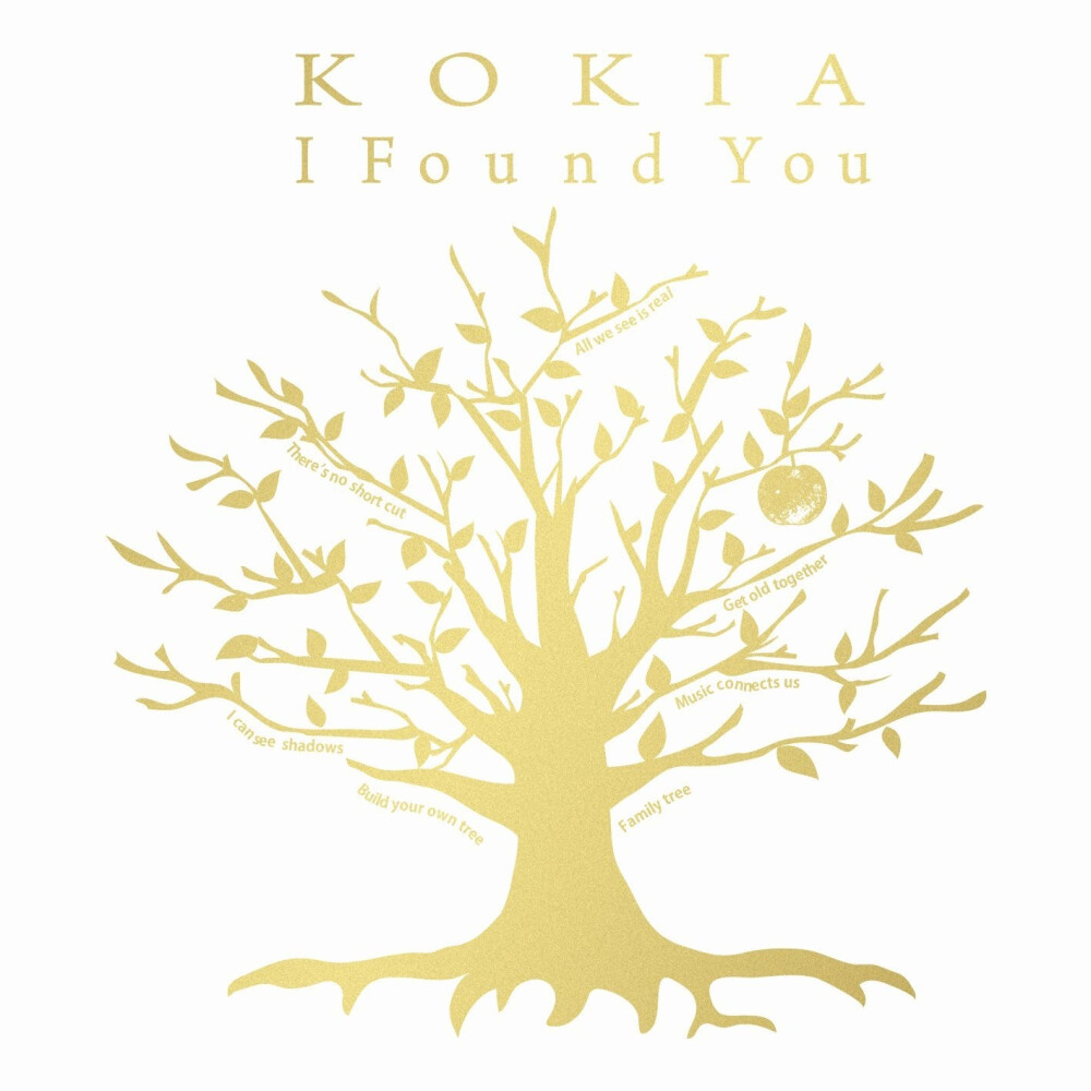 头像素材 ＃专辑封面＃I found you - KOKIA