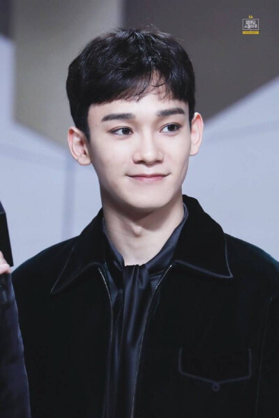 EXO CHEN 金钟大