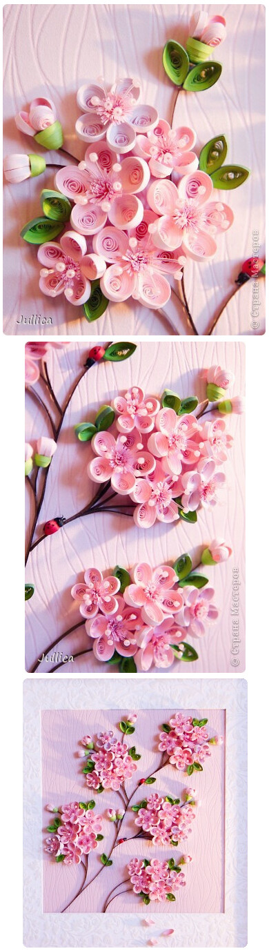 樱花，梅花，傻傻分不清楚