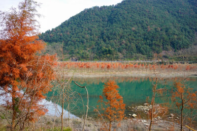 青山绿水共为邻…临海小芝