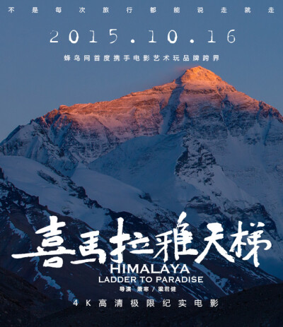 《喜马拉雅天梯》是由萧寒、梁君健联合执导，索朗多吉、普布顿珠、格桑央宗等主演的纪录片。该片于2015年10月16日在中国上映。
该片讲述的是一群西藏登山学校的藏族年轻人，经历培训之后成为高山向导，最终登上喜玛…