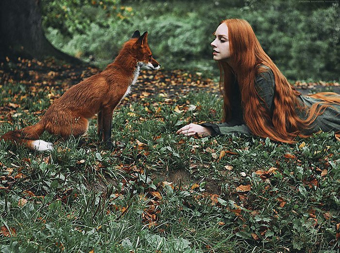 「有一种童话叫：红发女孩与小狐狸。这组乌兹别克斯坦摄影师Alexandra Bochkareva的秋冬季拍摄作品中，有两位红发模特Polina、Olga和一只红狐狸Alice。Alexandra说，自己喜欢与有小雀斑的红发模特合作，而大自然绿色环境下红色头发营造出来的对比与和谐，令作品更有冲击力…