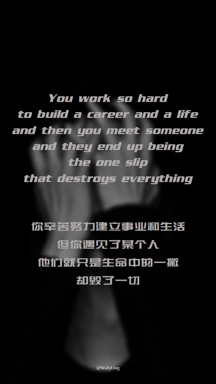 
You work so hard to build a career and a life, and then you meet someone, and they end up being the one slip that destroys everything.
你辛苦努力建立事业和生活，但你遇见了某个人，他们就只是生命中的一撇却毁了一切。（忘了是那一部美剧里的台词了）
