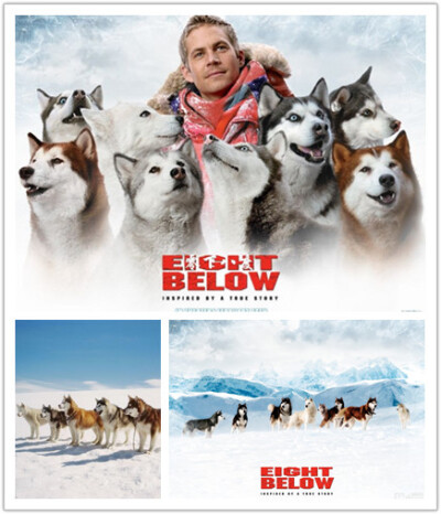 南极大冒险 Eight below