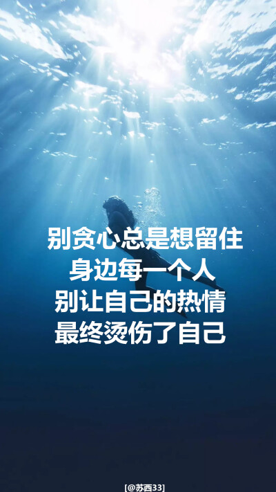 壁纸 by苏西 背景图来自网络搜集 如有侵权私聊我 么么哒