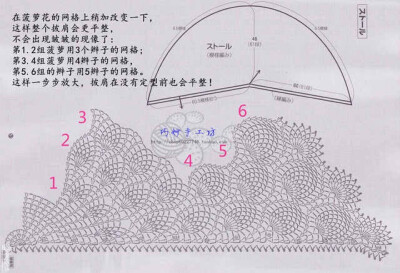 菠萝花。披肩