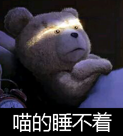 Ted 泰迪熊