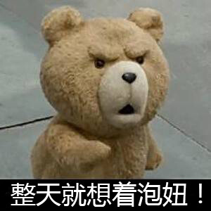 Ted 泰迪熊