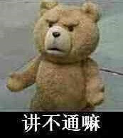 Ted 泰迪熊