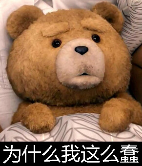 Ted 泰迪熊