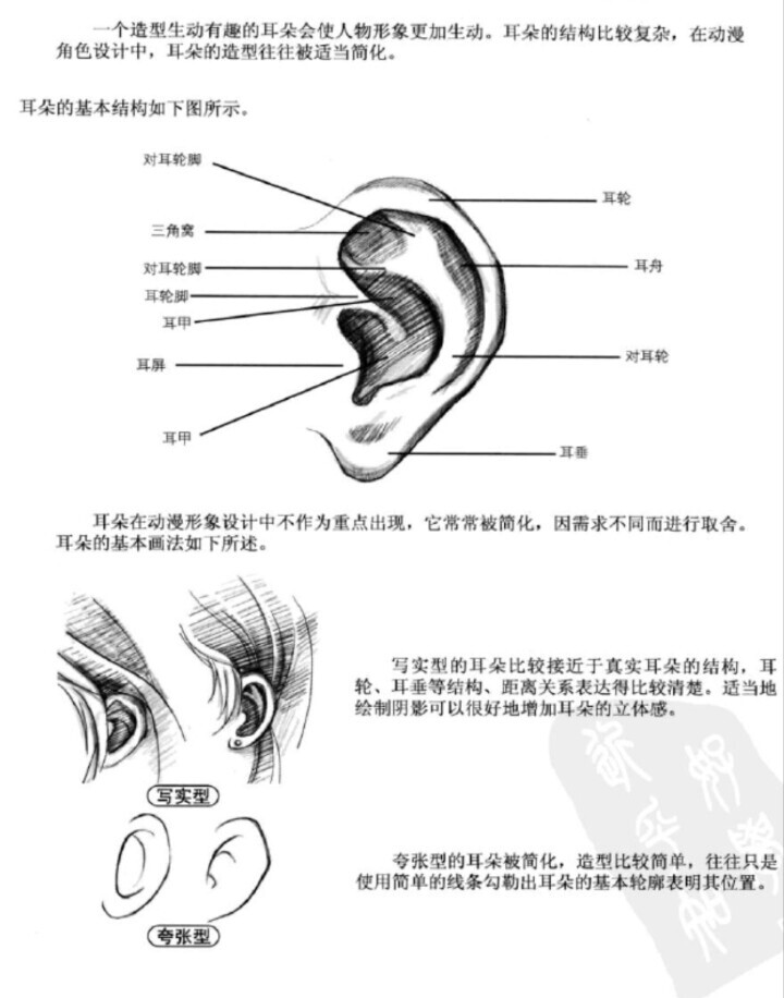 #图转侵删#动漫人物耳朵画法，手绘吧