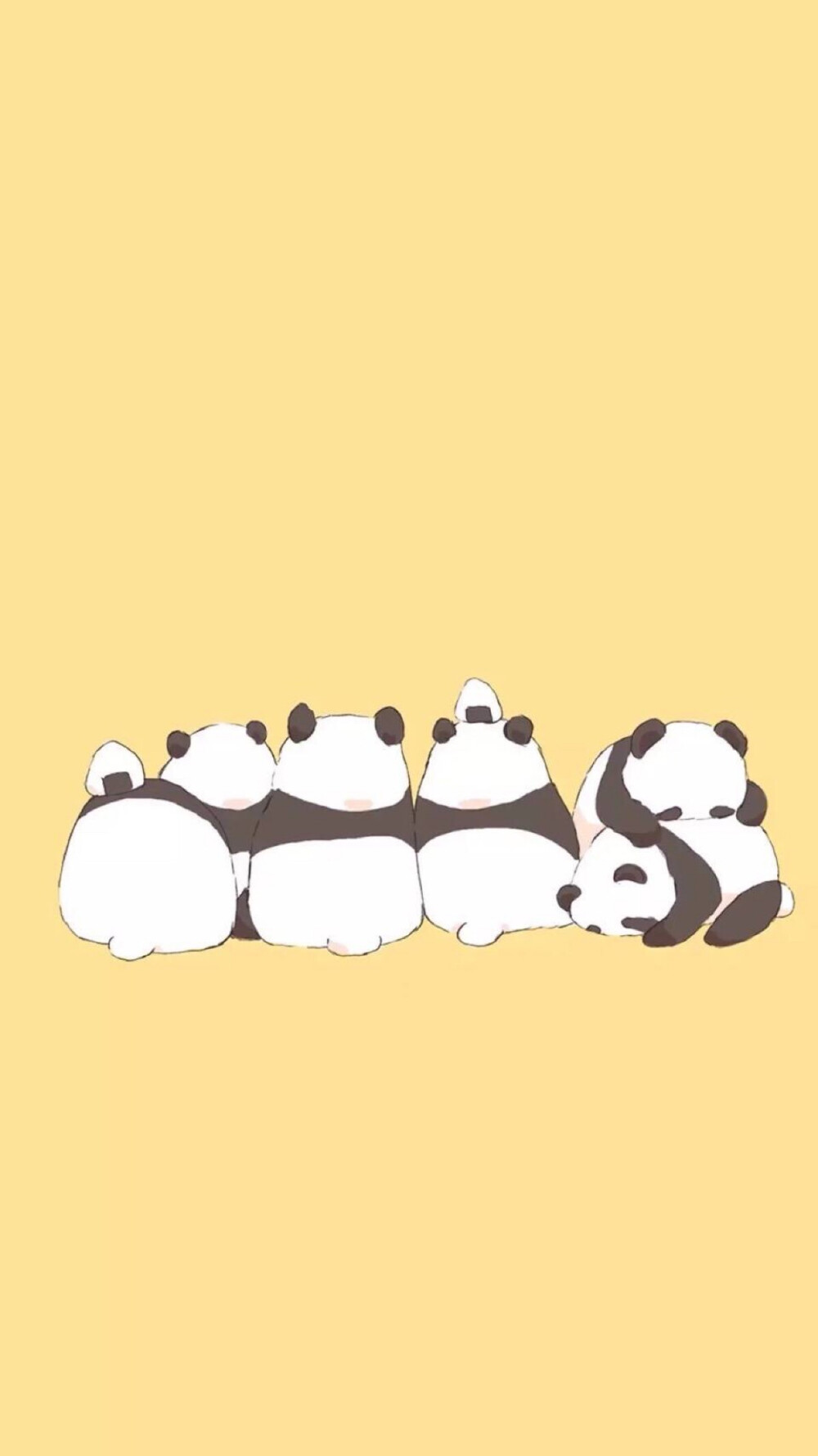 Panda 萌萌哒～