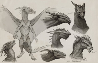 #机翻# 聪明的龙草图（Sapient Dragon Sketches）设计龙的猛禽的想法,他们是一个聪明的种族,以及残忍的掠食者。 和头部形状,试图给他们一个知识看起来稍微外星人以及(可观测的两个质量效应激发了龙的头)。 我真的很…