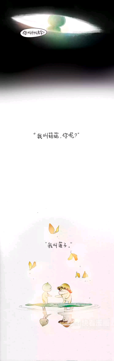 莲子与菇菇