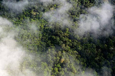 即将消失的7大世界级美景——巴西亚马逊热带雨林
预计30年内消失
