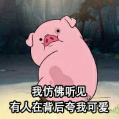 猪猪^_^