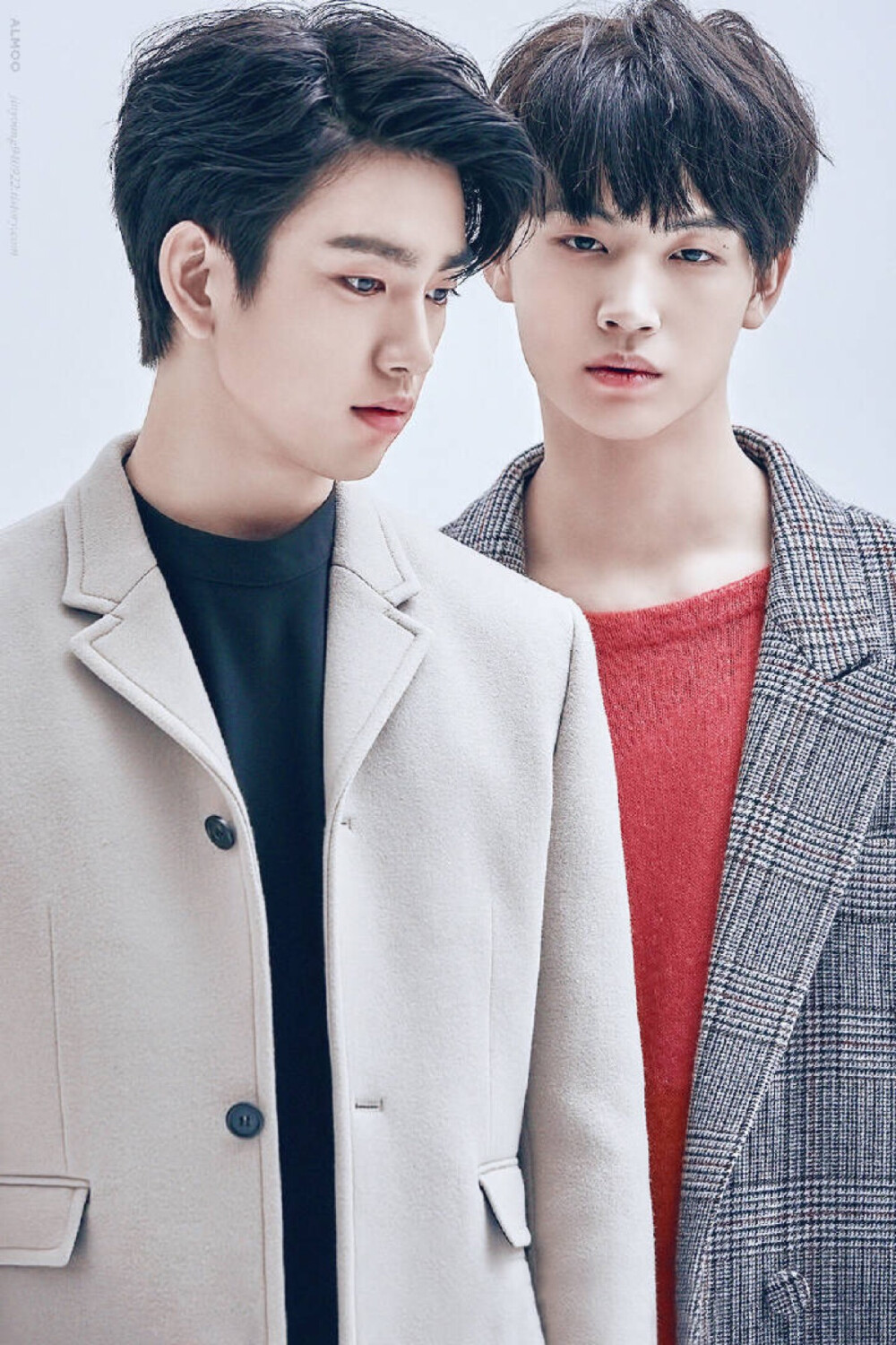 jjp
