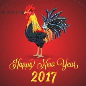 2017年鸡年新年春节海报背景图贺卡请柬AI矢量设计素材AI178