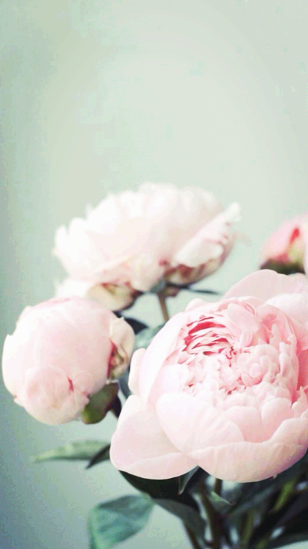 ⚘盼༵❀夏Lᵒᵛᵉᵧₒᵤ❤