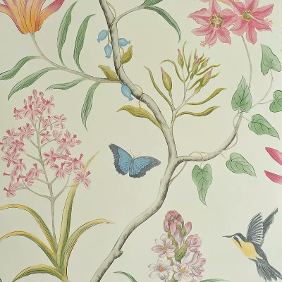 ฅ(⌯͒• ɪ •⌯͒)ฅ