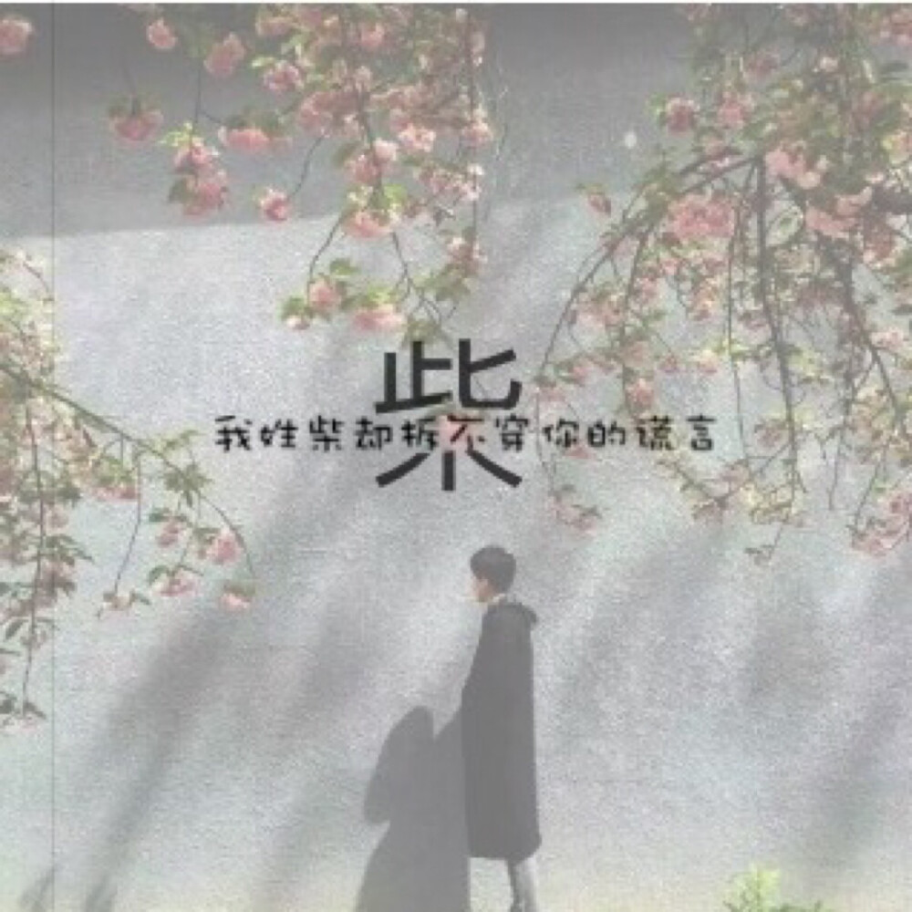 壁纸头像原创姓氏图柴赞评论更多