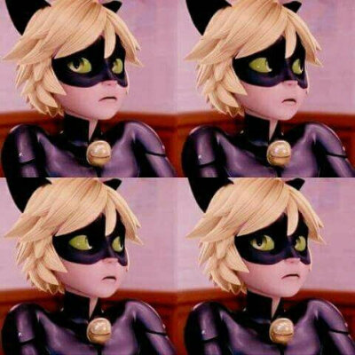 chat noir