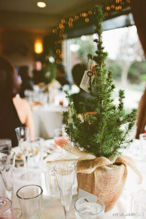 冬季婚礼，用长青松树枝来装饰布置吧~
