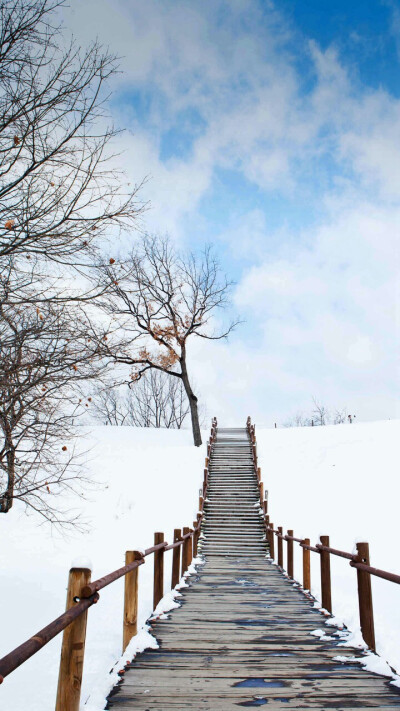 晴朗的雪