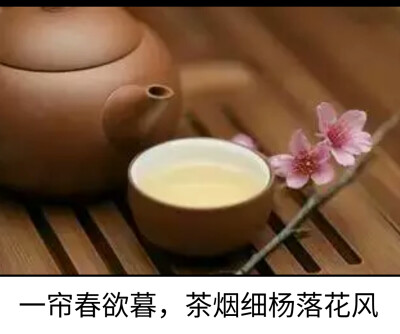 茶