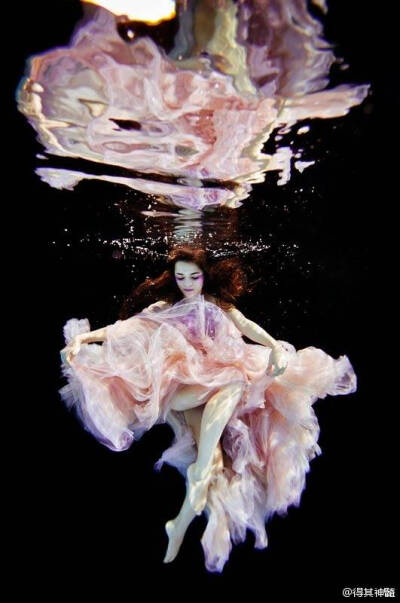 水下唯美摄影艺术Underwater Photography by Ilse Moore ​​​