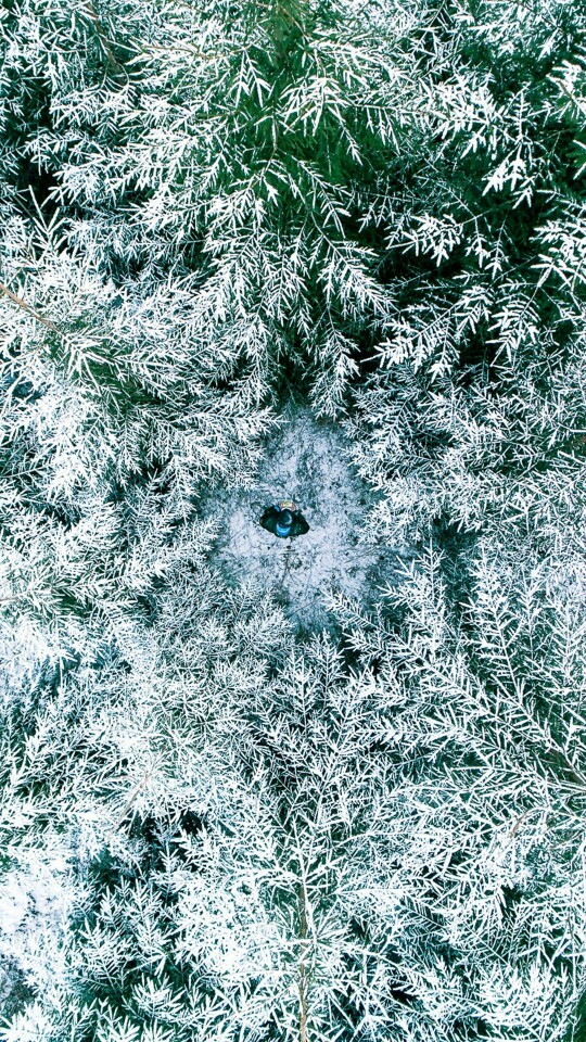 壁纸 冬景 雪天 NBA 篮球 锁屏背景 主题 可爱卡通平铺 高清壁纸在线不定期更新 喜欢点赞 请多多关注 顺便抱走吧