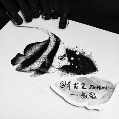 鱼类纹身手稿 黑白插画 针管笔