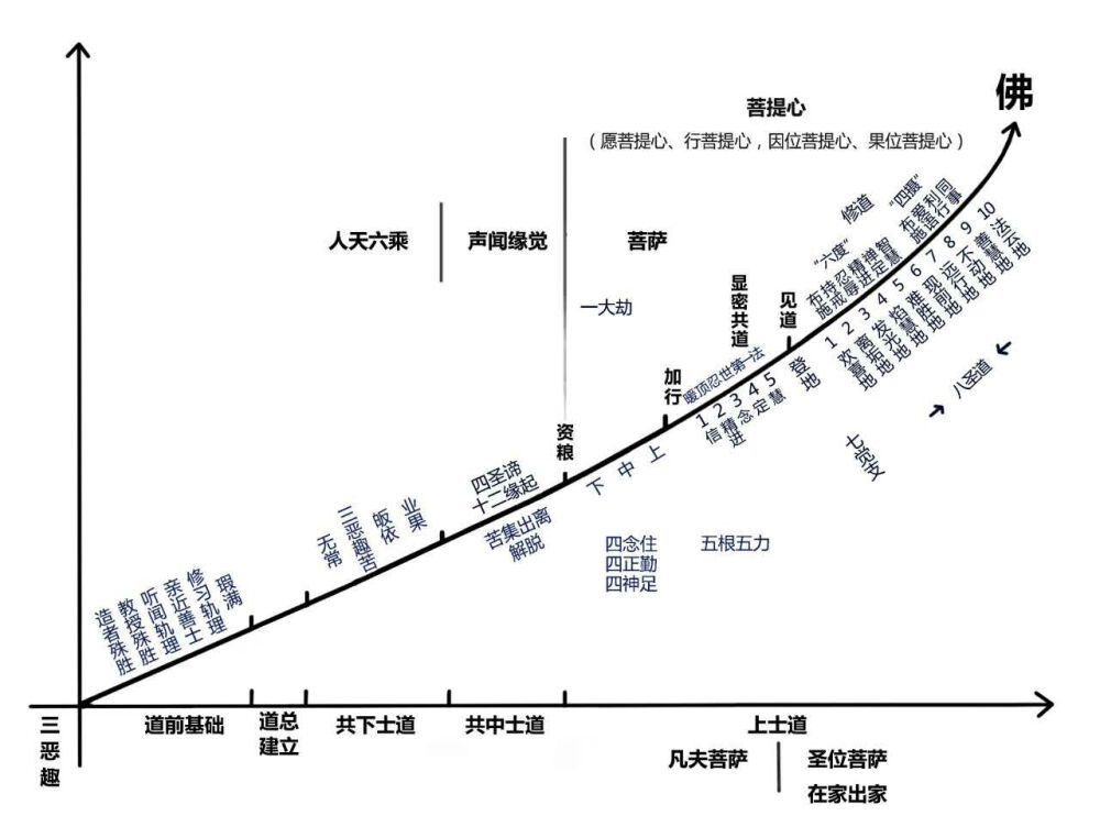 广论