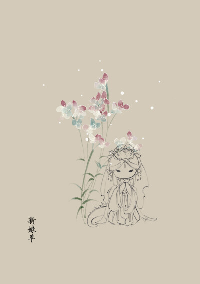 花镜