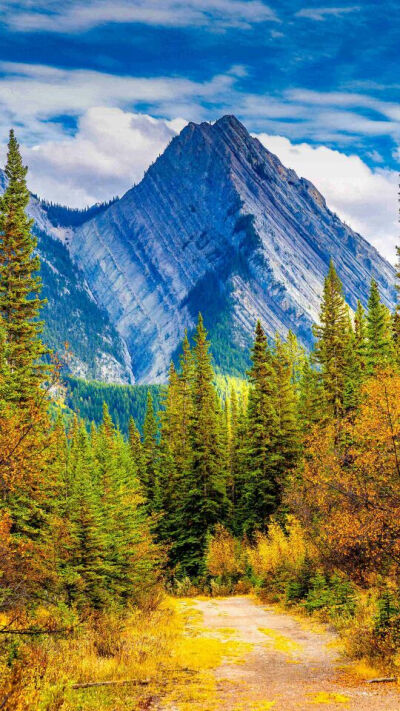 山