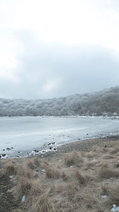 钟爱清新 意境 热爱自由